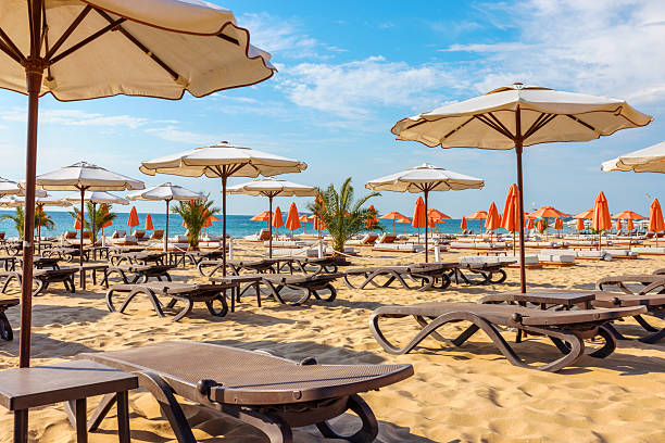 Sun beds and umbrellas on Sunny Beach. Bulgaria