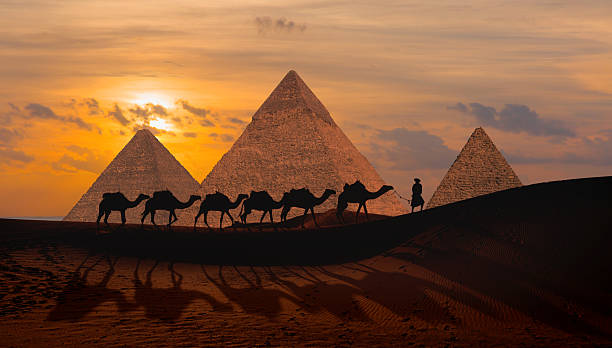 istockphoto-2242934525-612x612